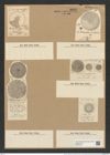 Coscinodiscus tuberculatus var. monicae Grev. (de-Toni-Nr.: Genus 202, Species 4918) Zeichnungen Sammlung Grunow Nr. 8686 (NHMW-BOT-W0378105)